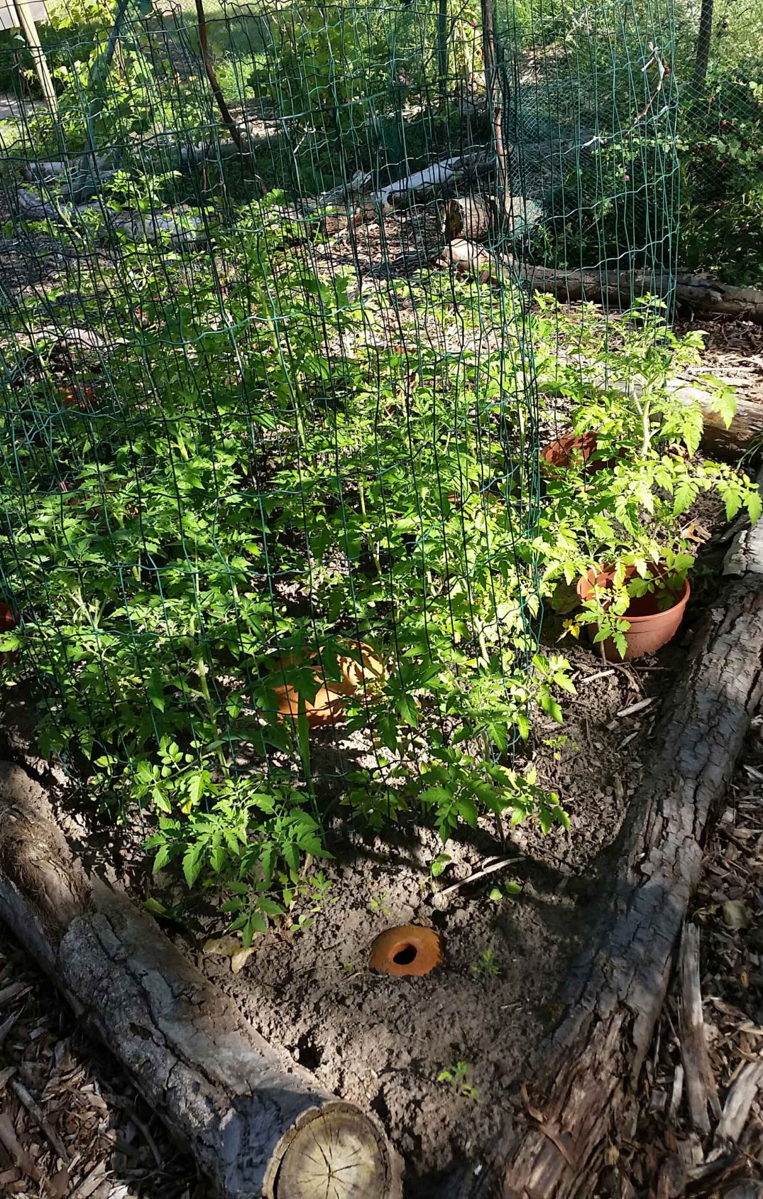 20160717_180948-blog