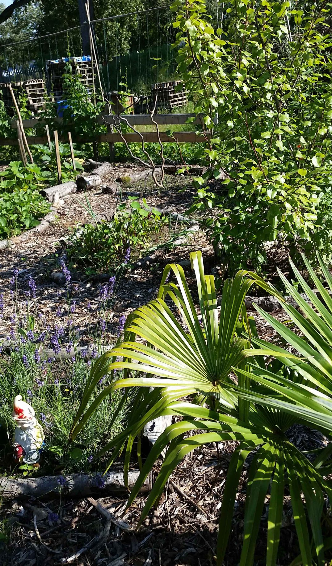 20160718_175805-blog