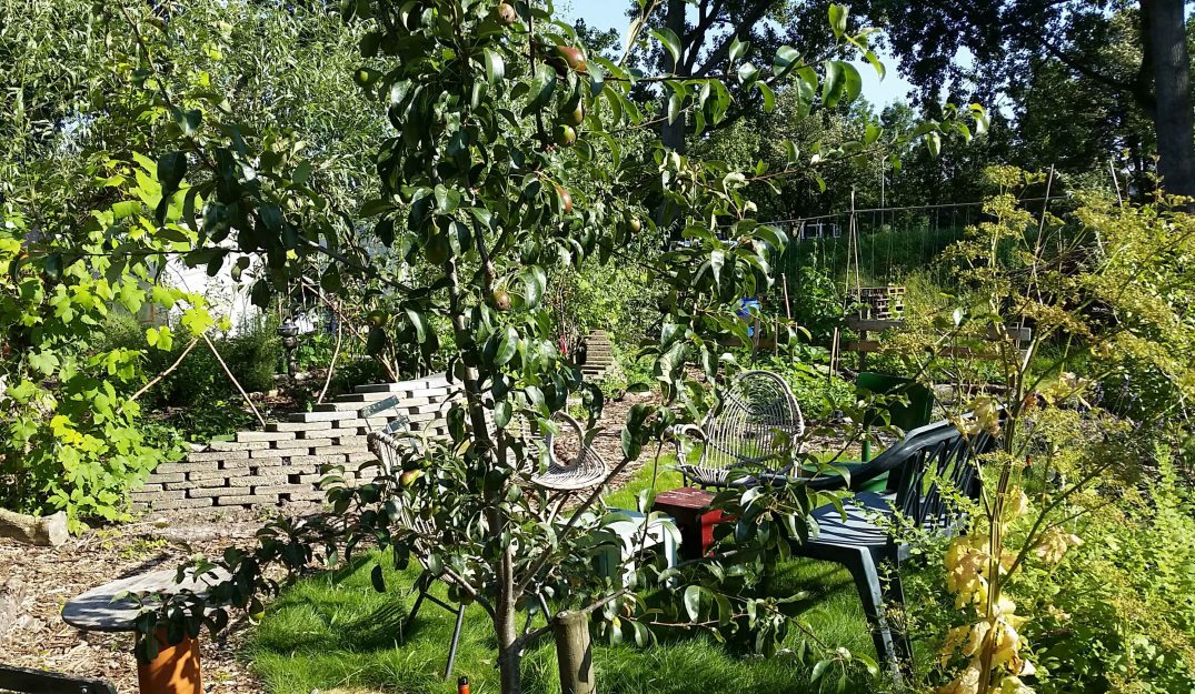 20160718_180207-blog