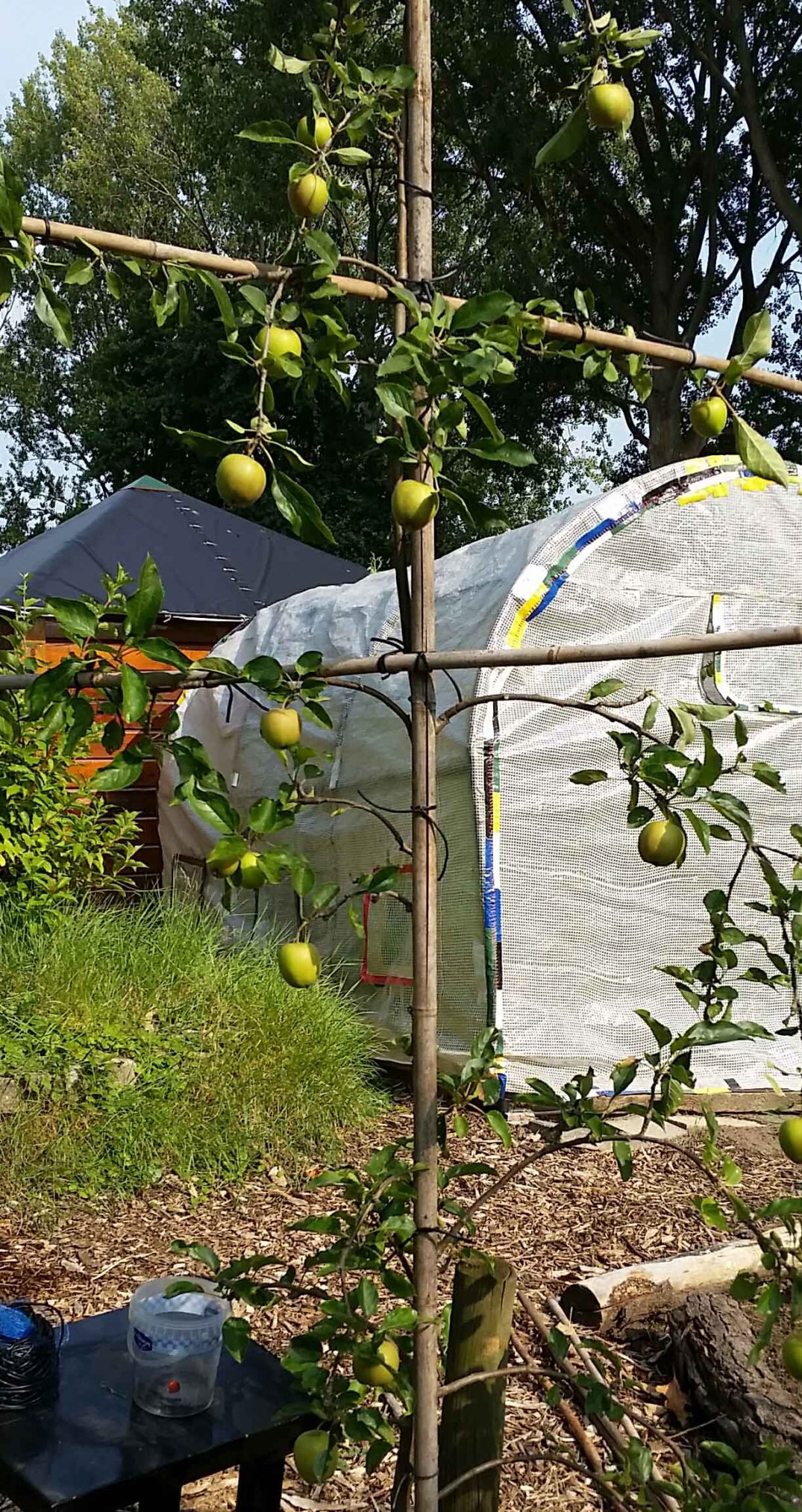 20160724_173426-blog