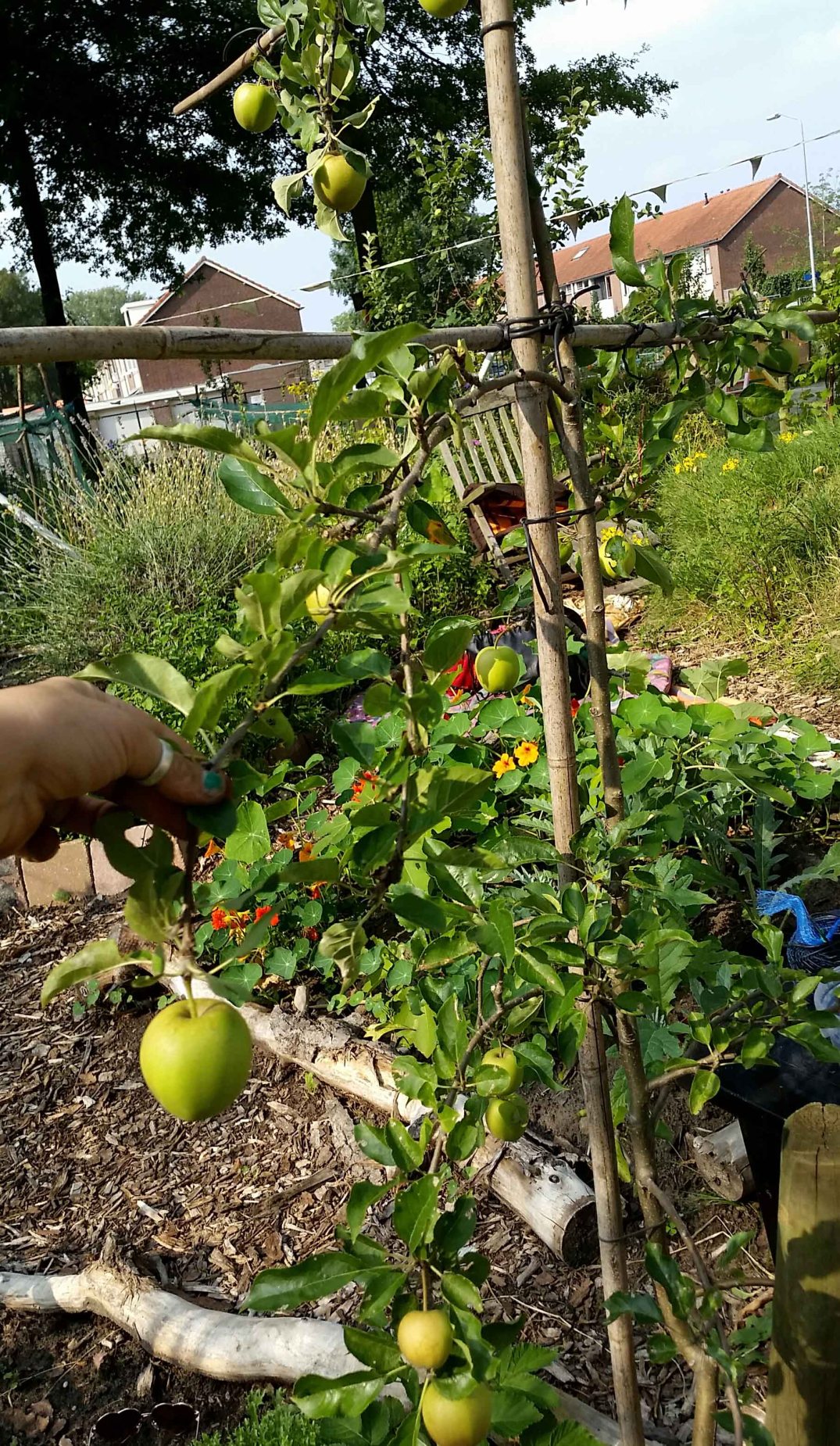 20160724_173542-blog