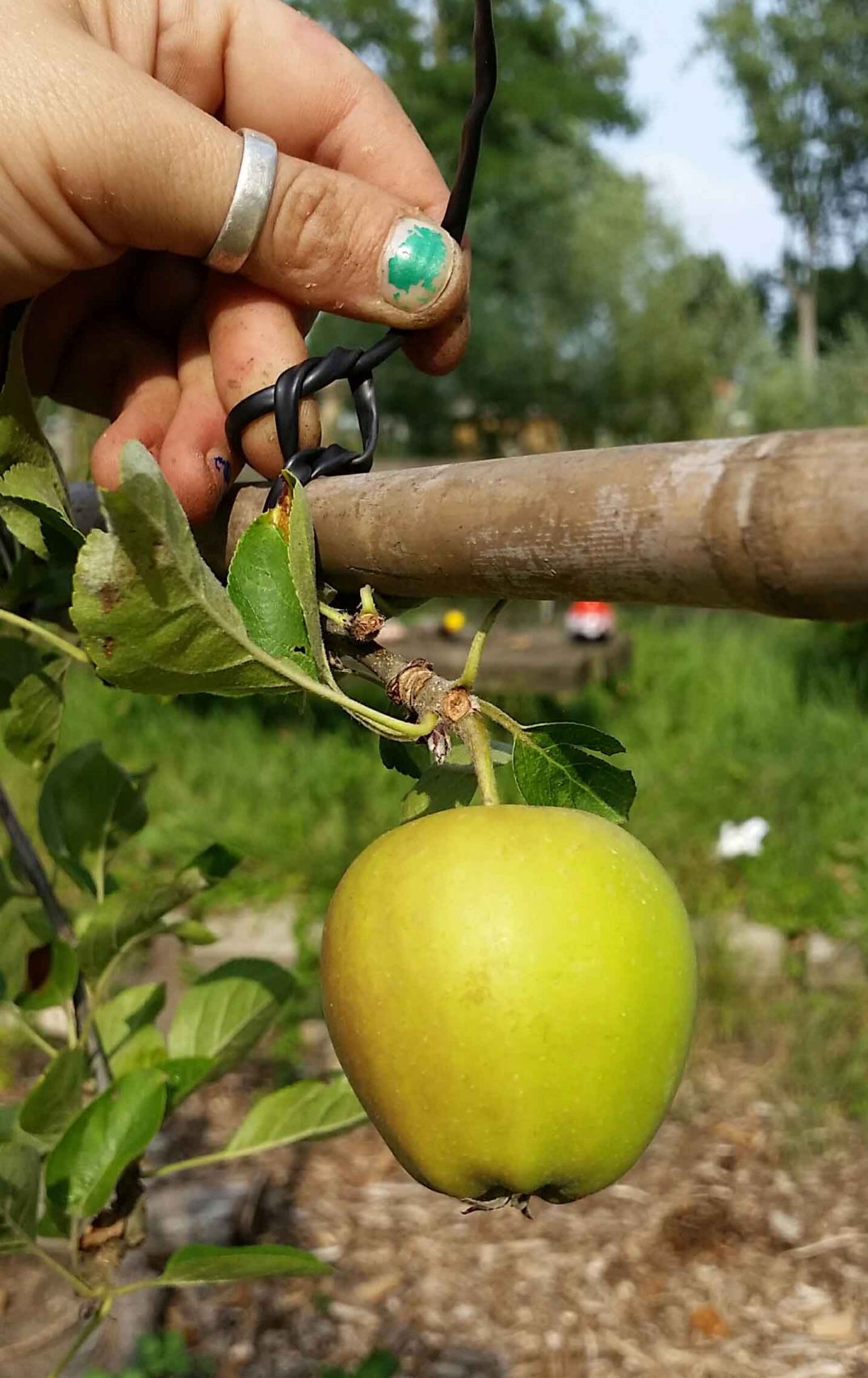 20160724_173756-blog