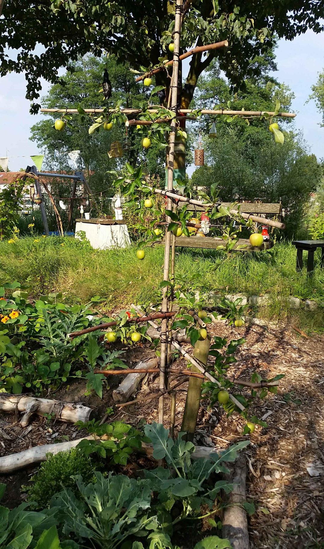 20160724_183358-blog