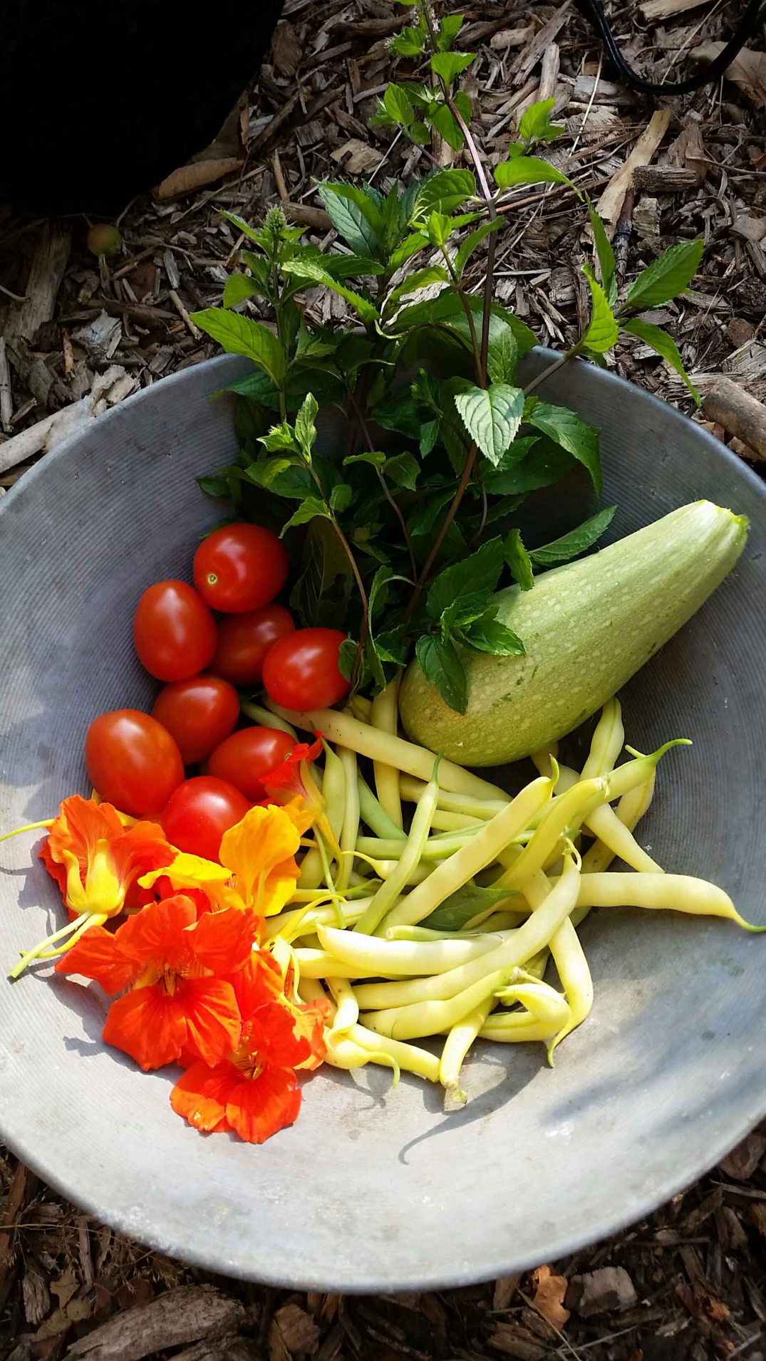 20160724_191648-blog