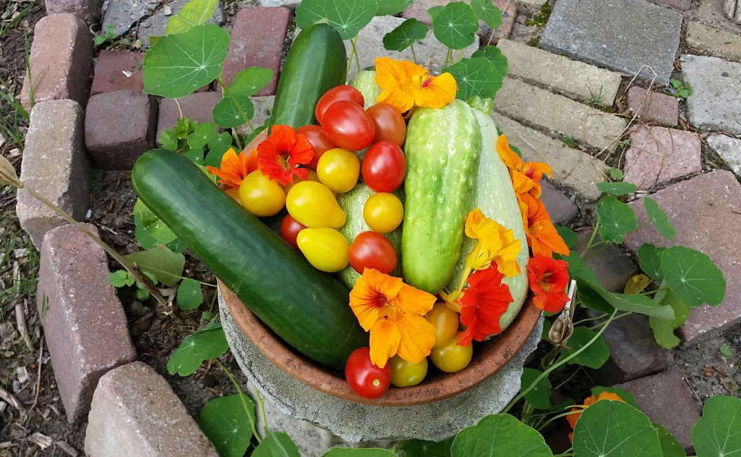 20160728_190516-blog