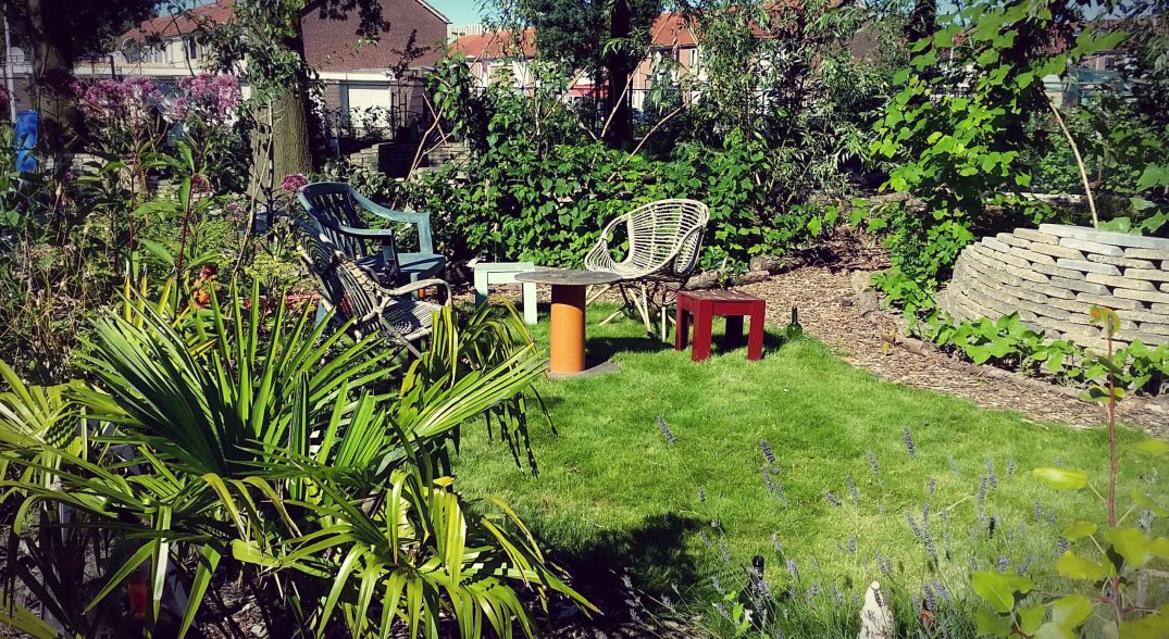 20160817_170118_20160817191609940-blog