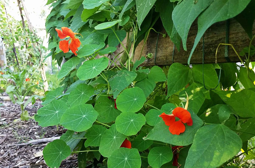 20160817_170536_20160817195158288-blog