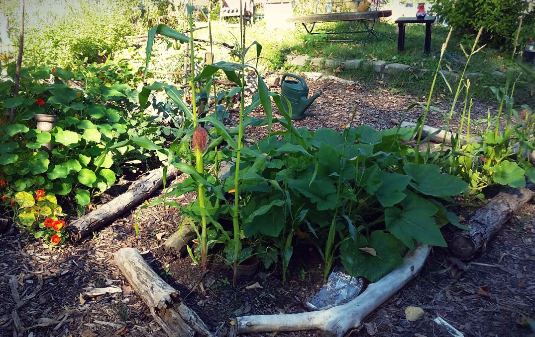 20160817_170713-blog