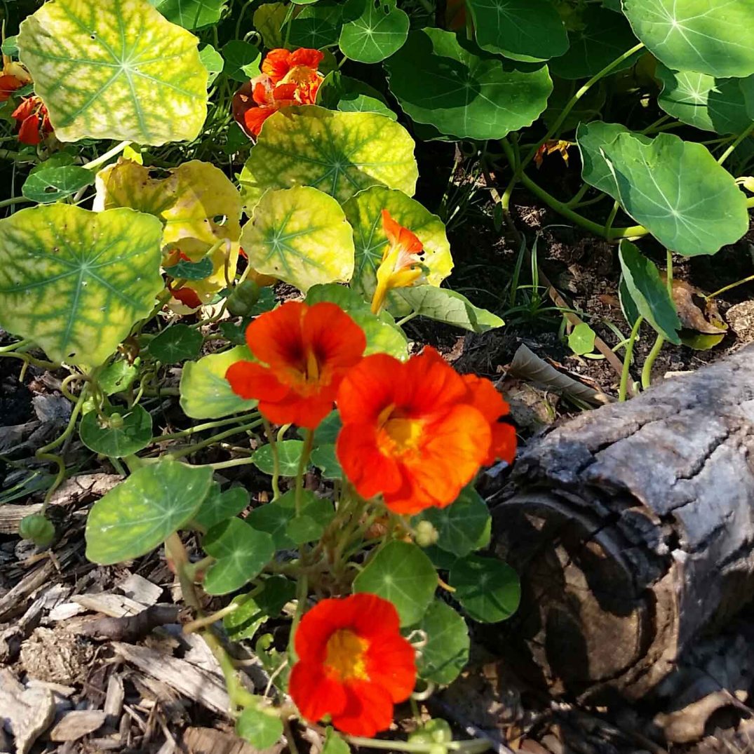 20160817_170728_20160817195826588-blog