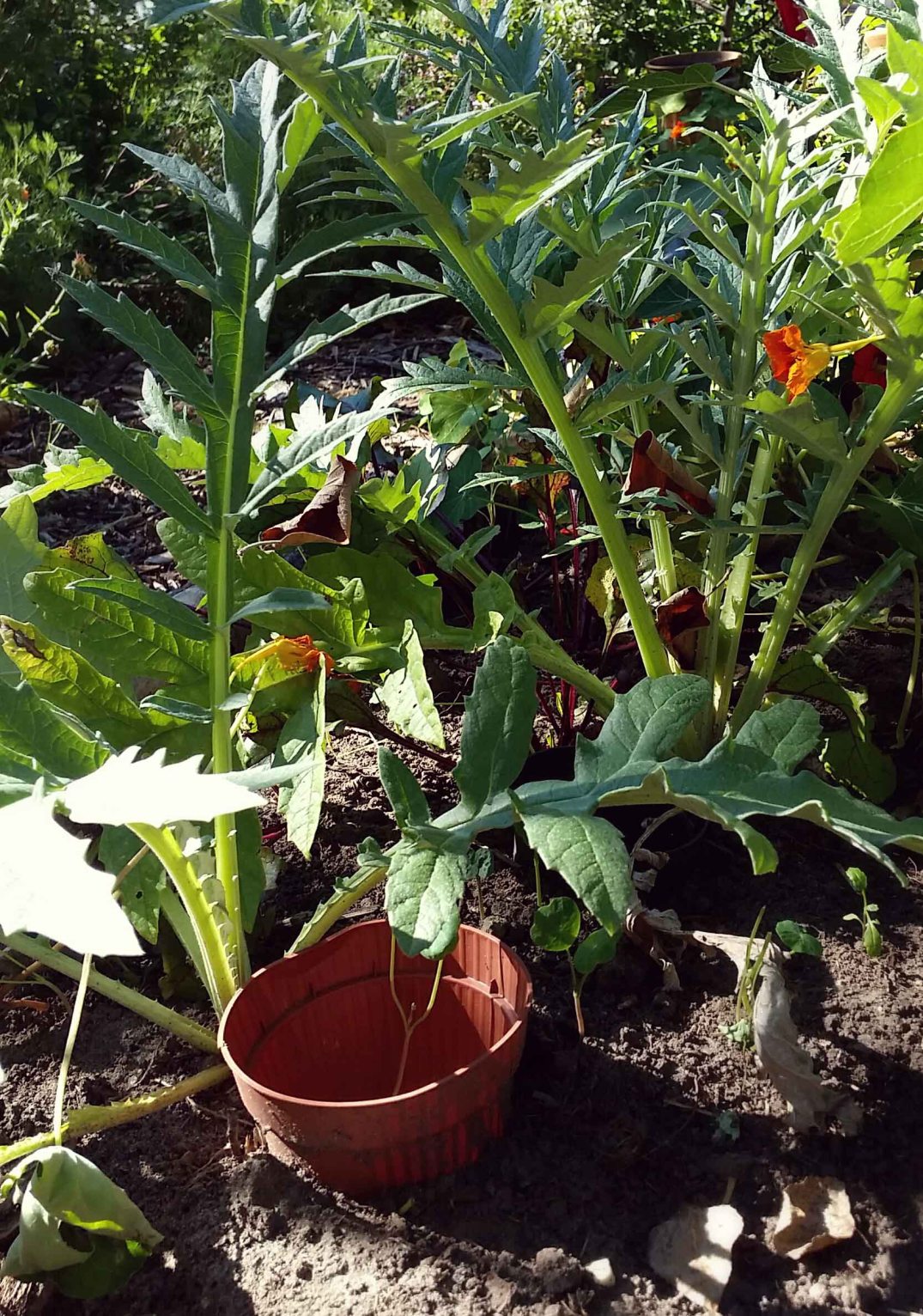 20160817_171349-blog