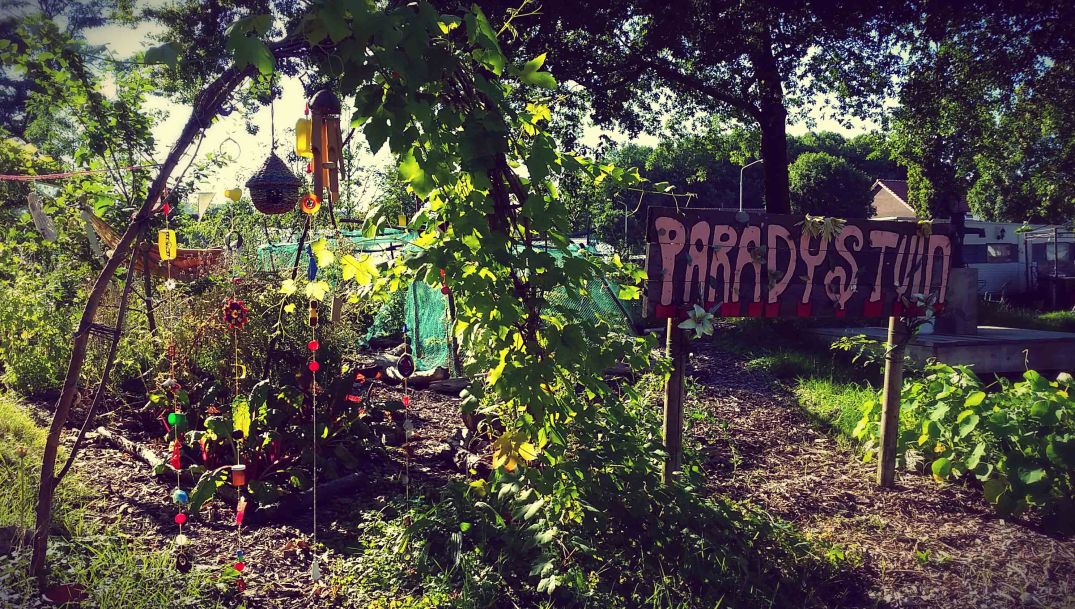 20160817_174443-blog