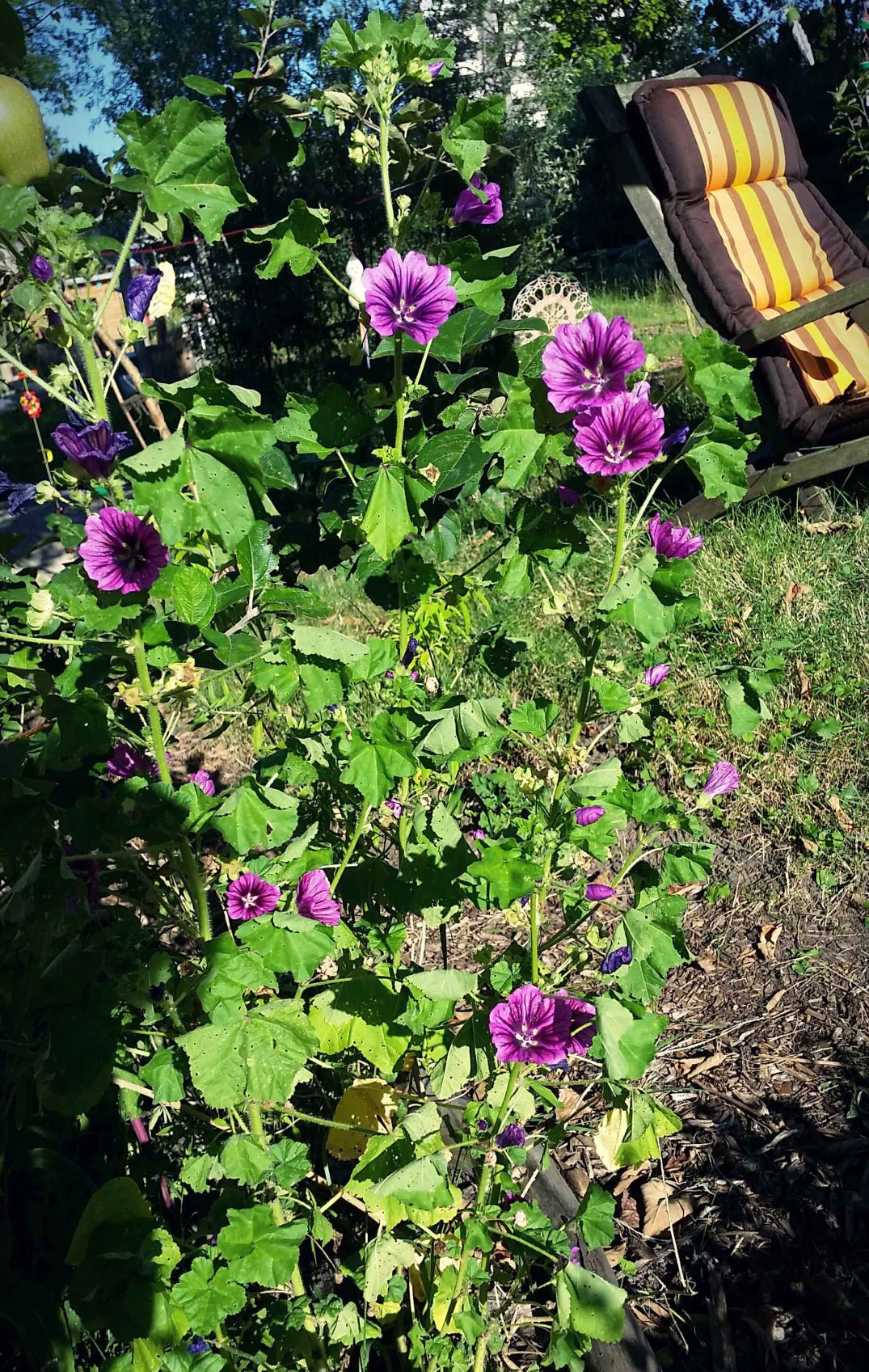 20160817_175809-blog