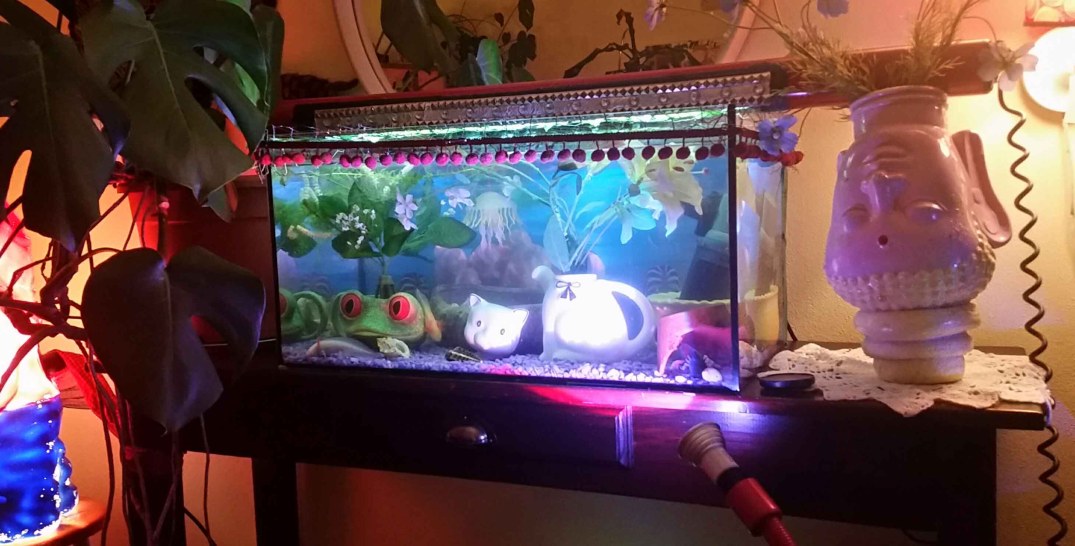 20160907_215617-blog