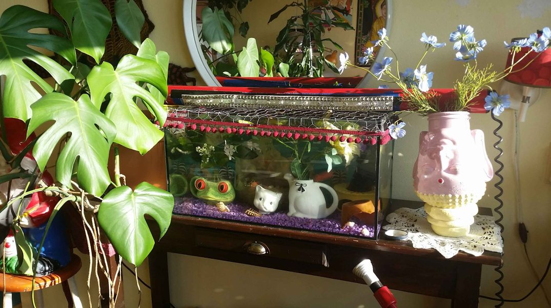 20160908_091108-blog