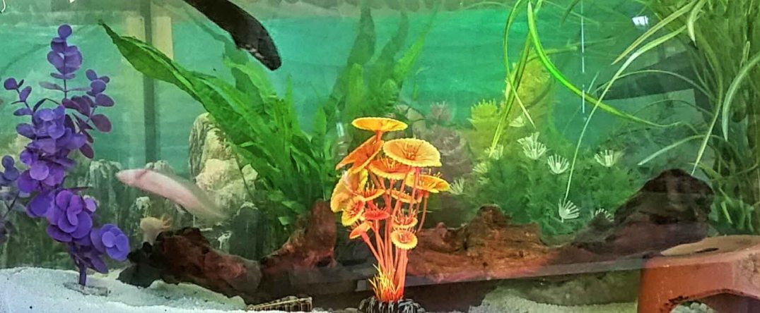 20160920_191537-blog