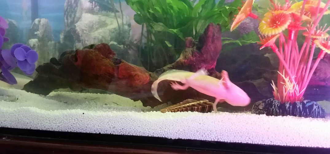 20160920_193020-blog