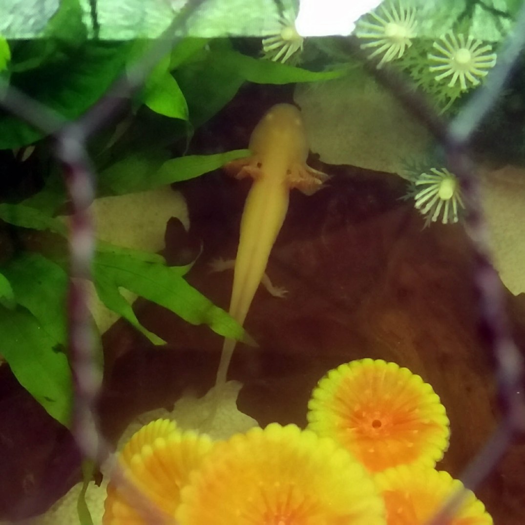 20160920_193827-blog