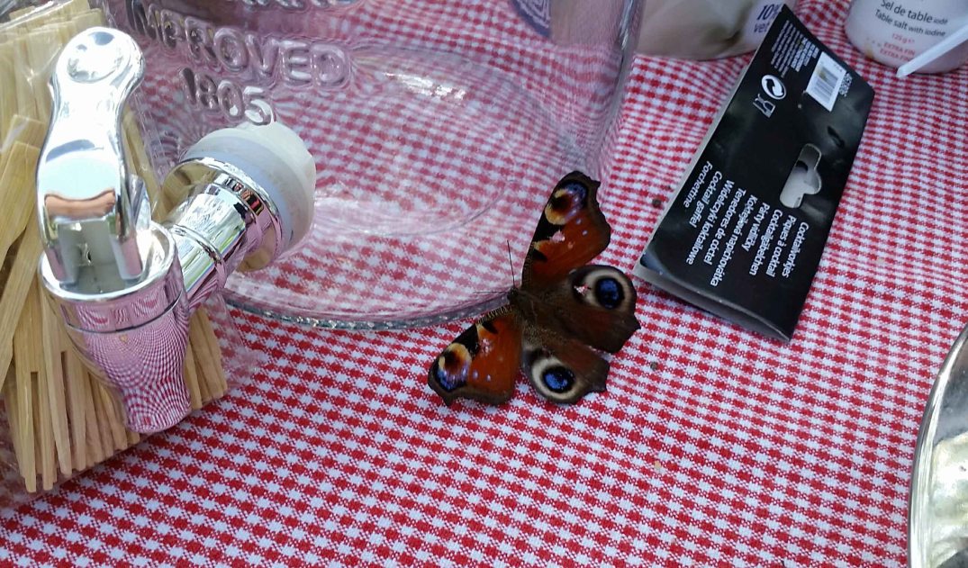 20160924_113545-blog