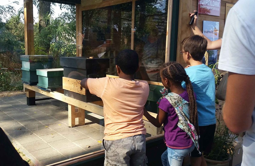 20160924_140728-blog