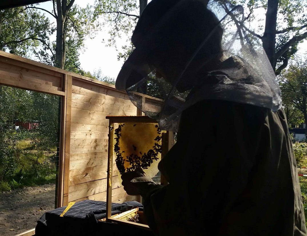 20160924_145413-blog