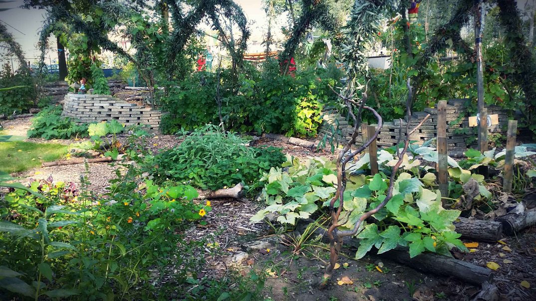 20160924_151542-blog