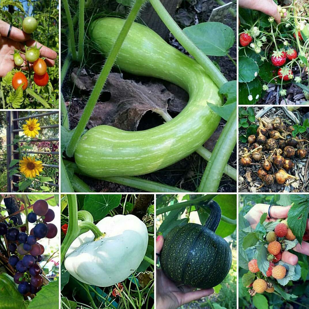 screenshot_2016-09-13-17-09-32-blog