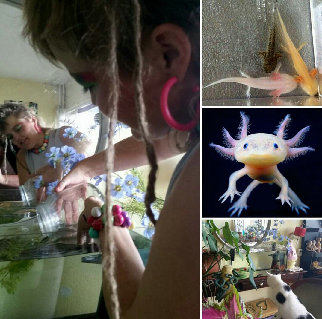 screenshot_2016-09-13-17-09-50-blog