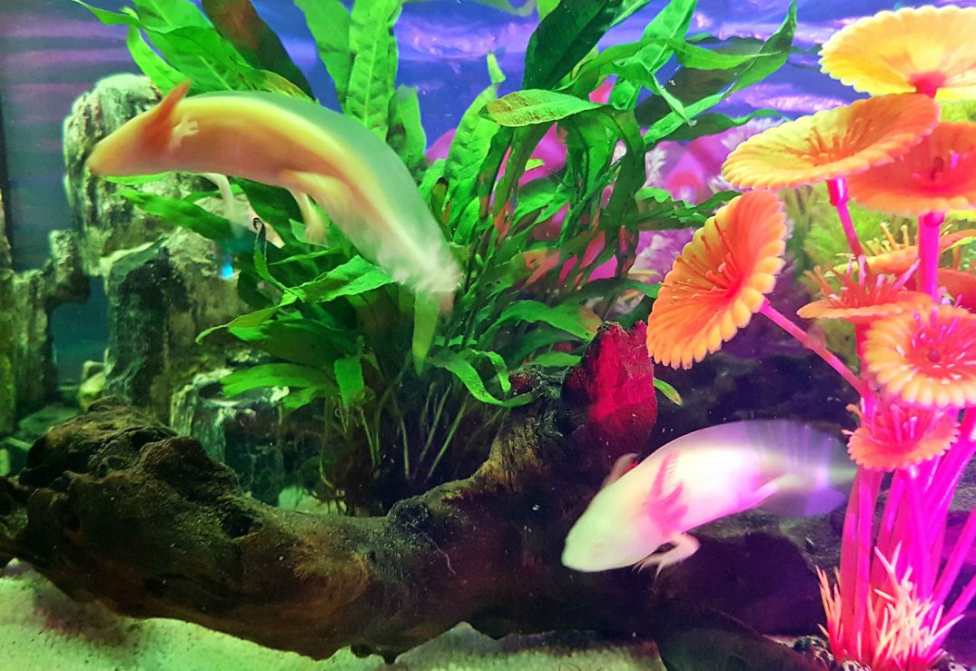 20160929_233942-blog