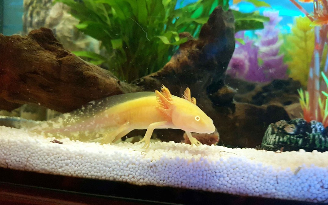 20160929_234117_20160930002143048-blog