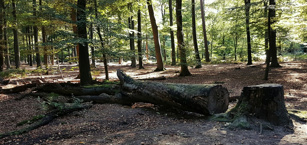 20161009_155923_20161009182051006