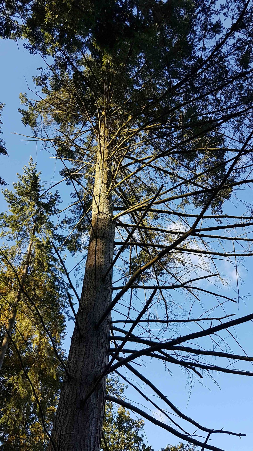 20161009_162710-blog