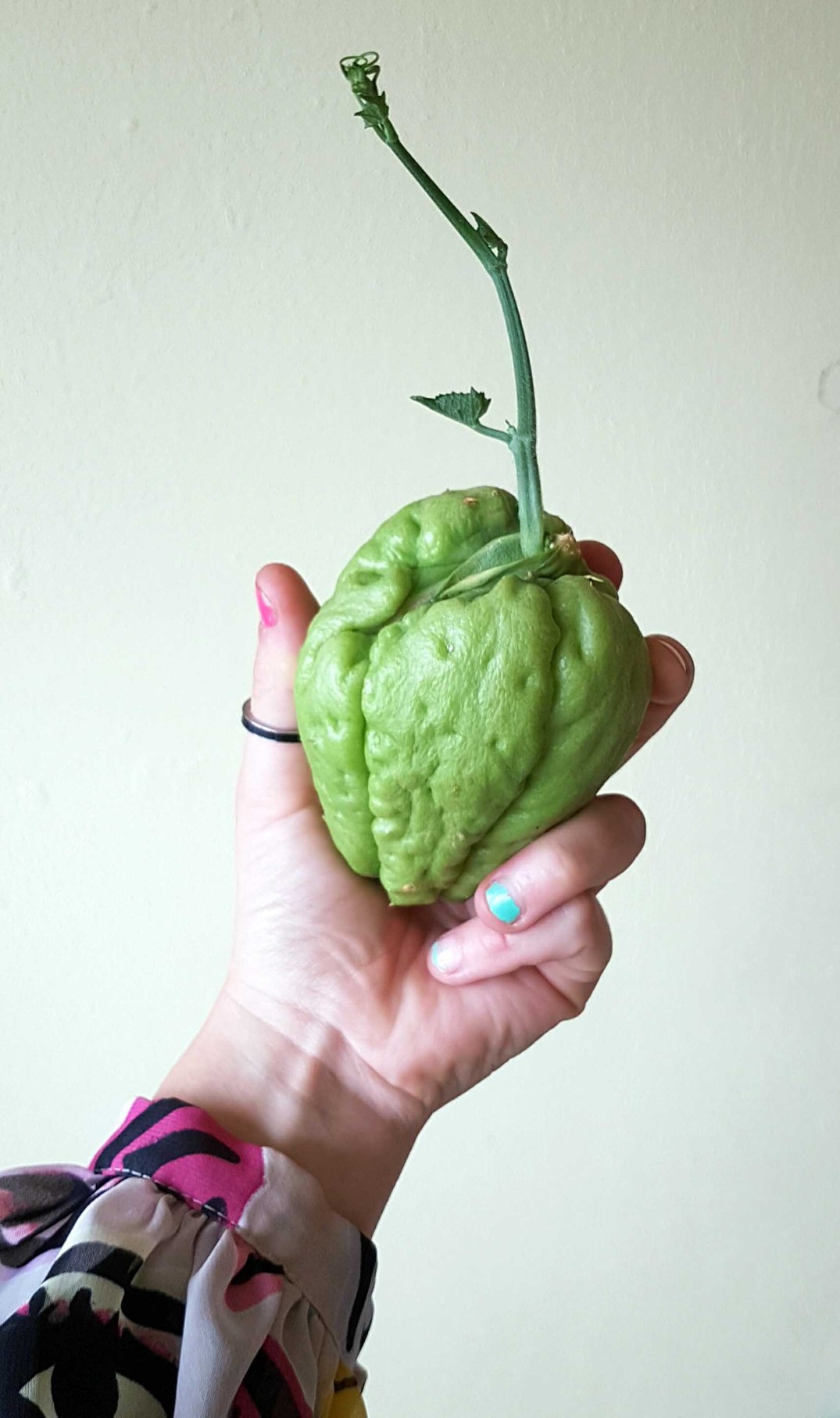 20161020_140459-blog