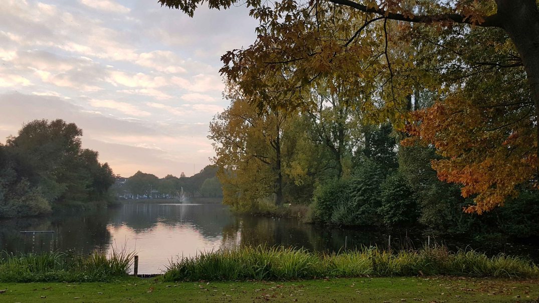 20161026_180016-blog