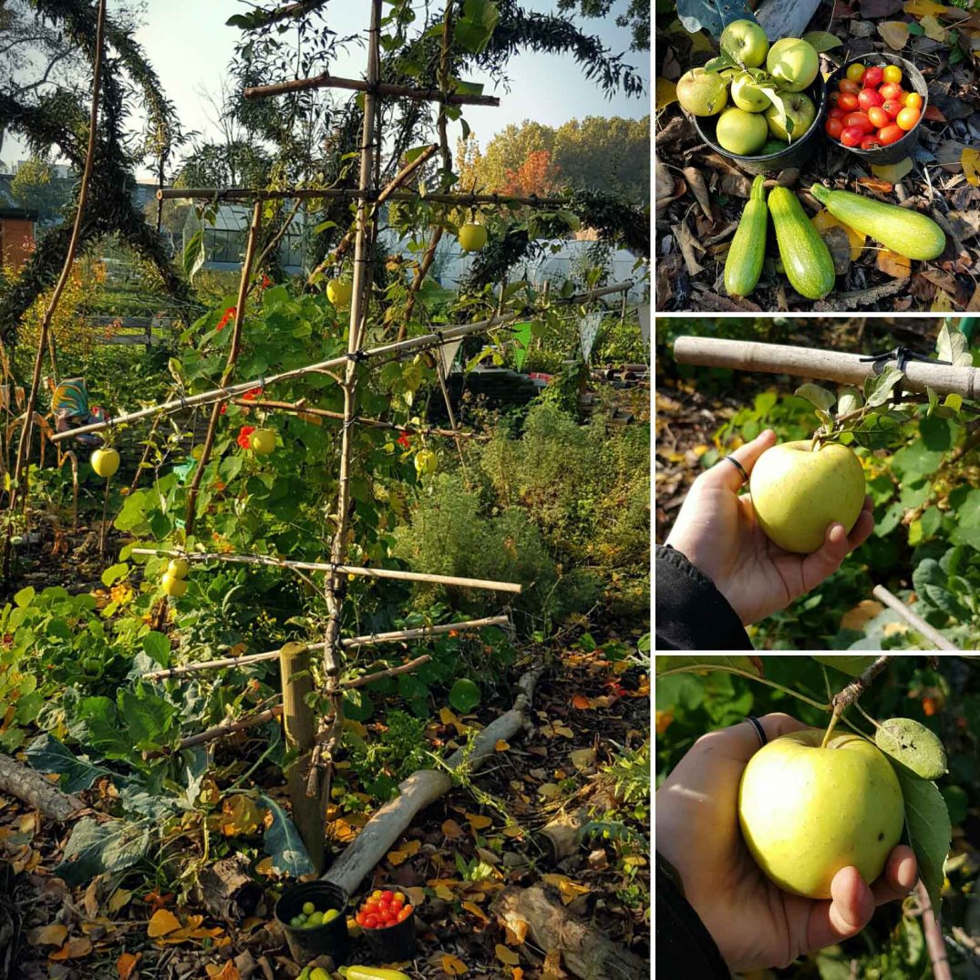 img_20161025_163942-blog