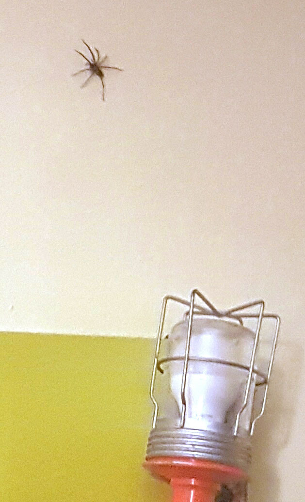 20170205_195317-blog