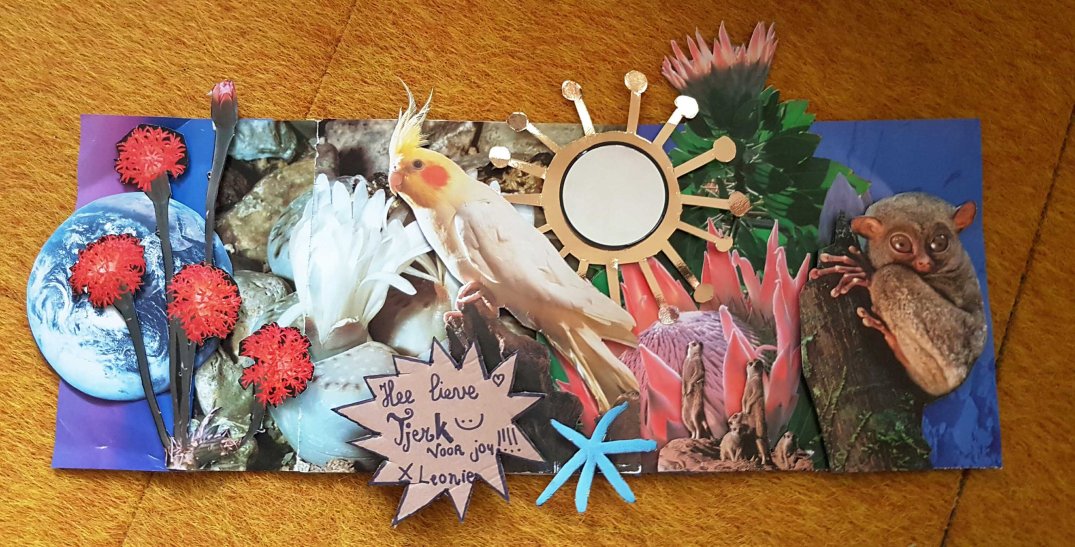 picsart_02-09-03-55-15-blog