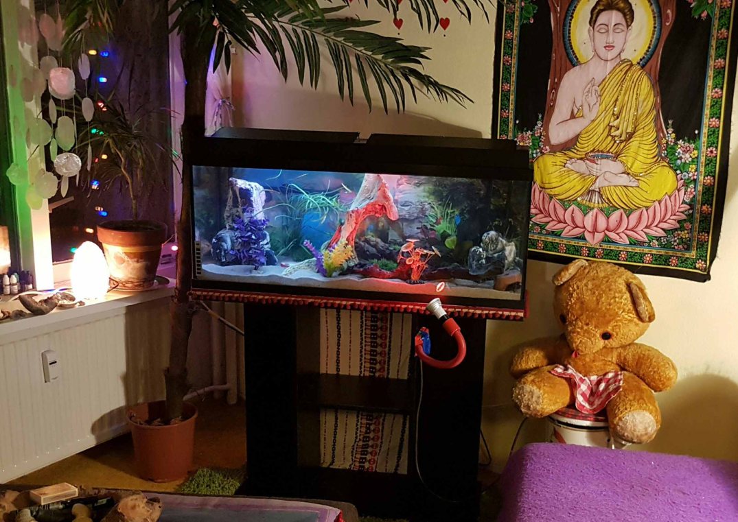 picsart_02-26-12-17-03-blog