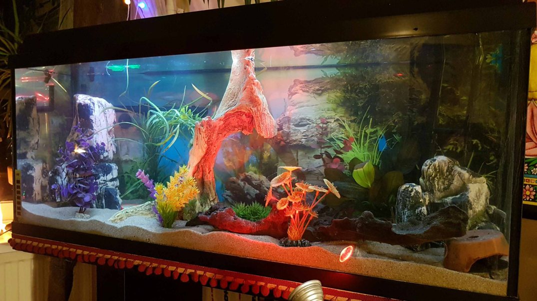 picsart_02-26-12-18-54-blog