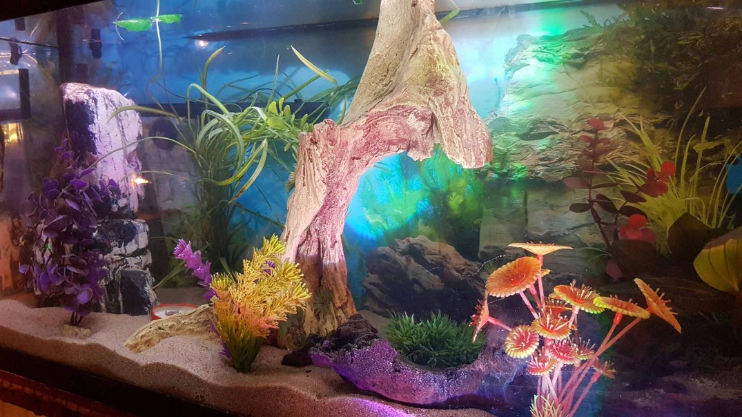 picsart_02-26-12-19-27-blog