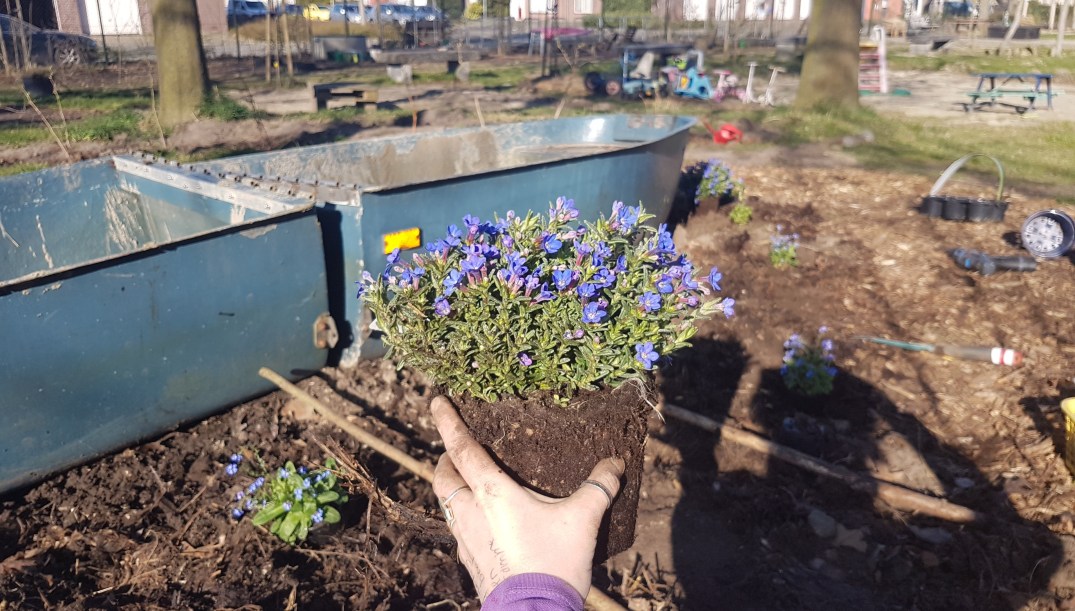 PicsArt_03-25-04.43.58