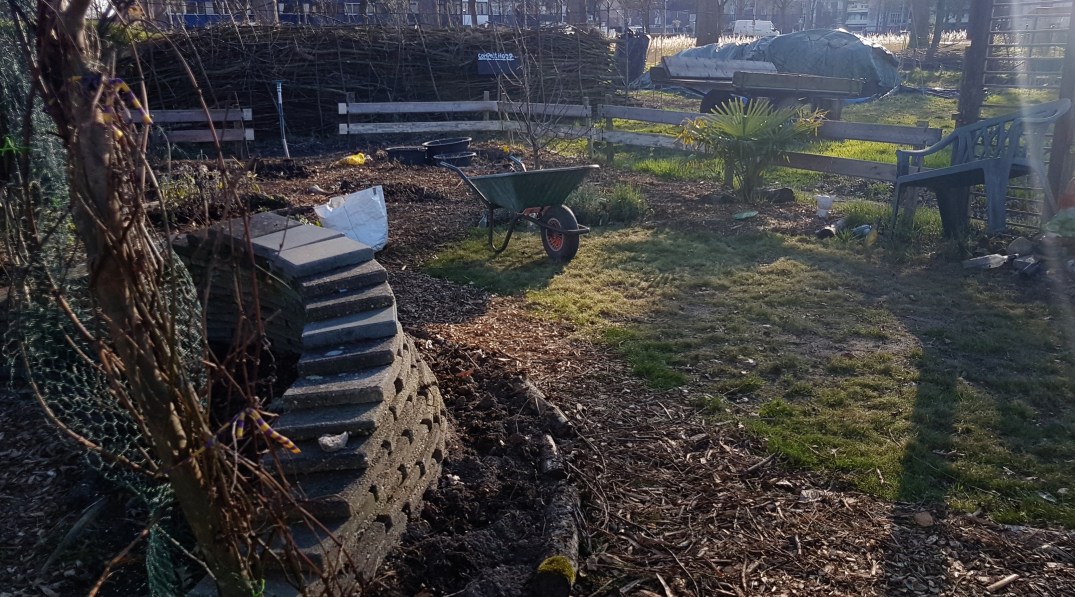 PicsArt_03-25-06.38.49