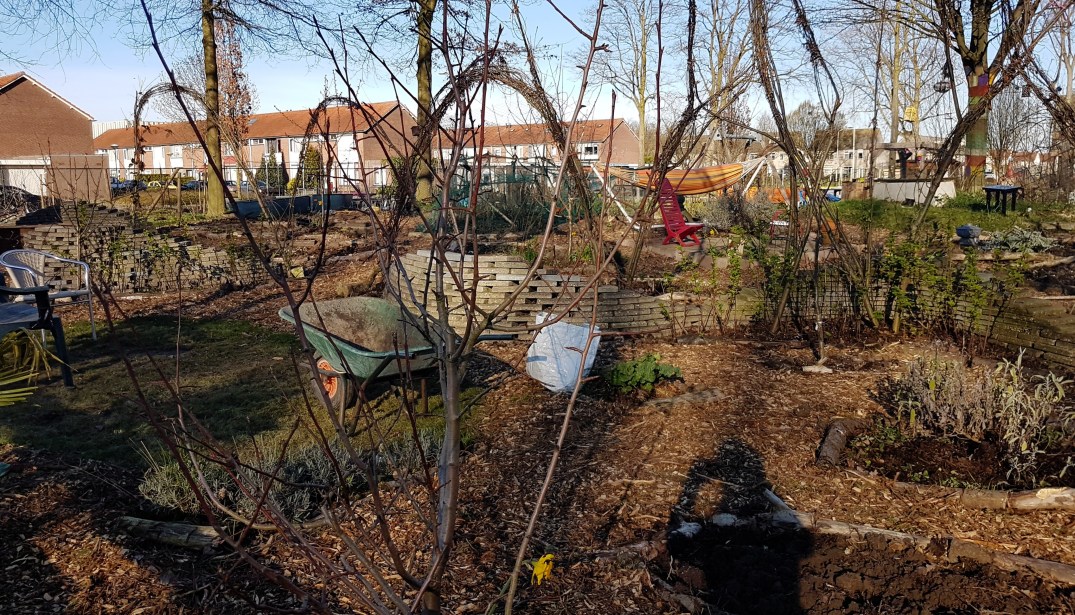 PicsArt_03-25-06.39.55