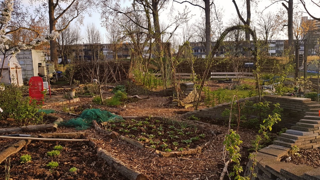 PicsArt_04-03-09.18.00