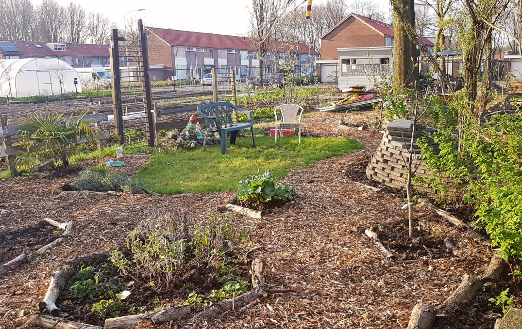 PicsArt_04-03-09.32.18