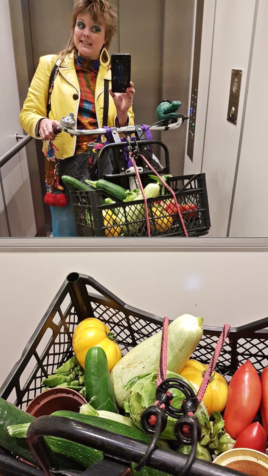 Vegetables in the elevator