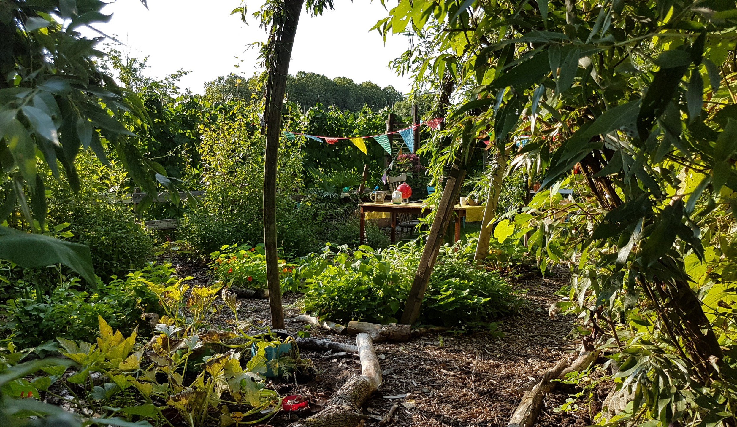 Leonies paradijstuin