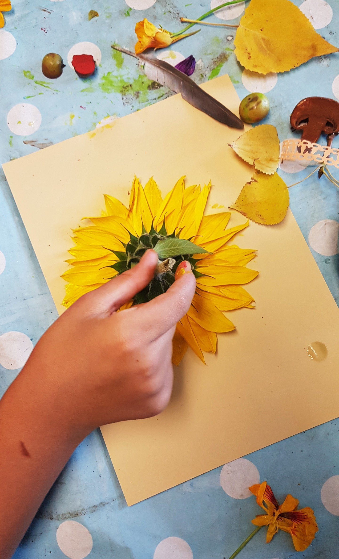 Leonies paradijstuin 