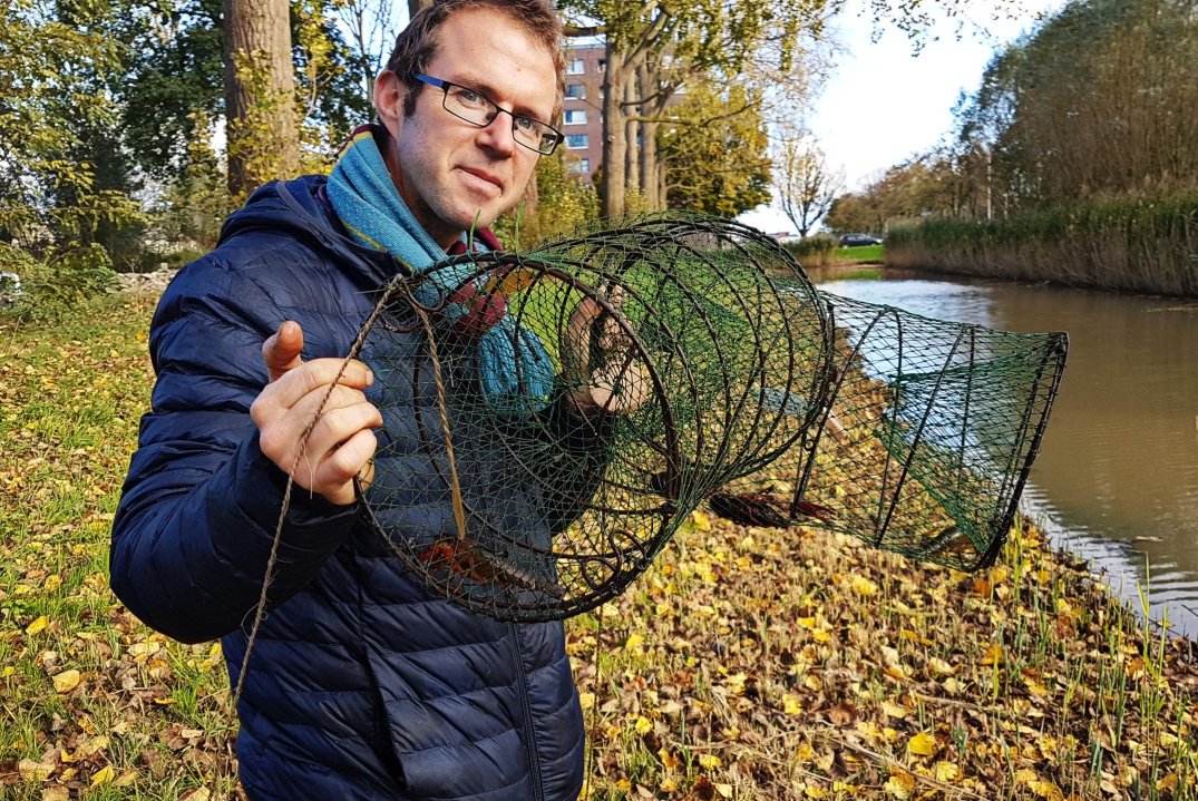 crayfish Rivierkreeft