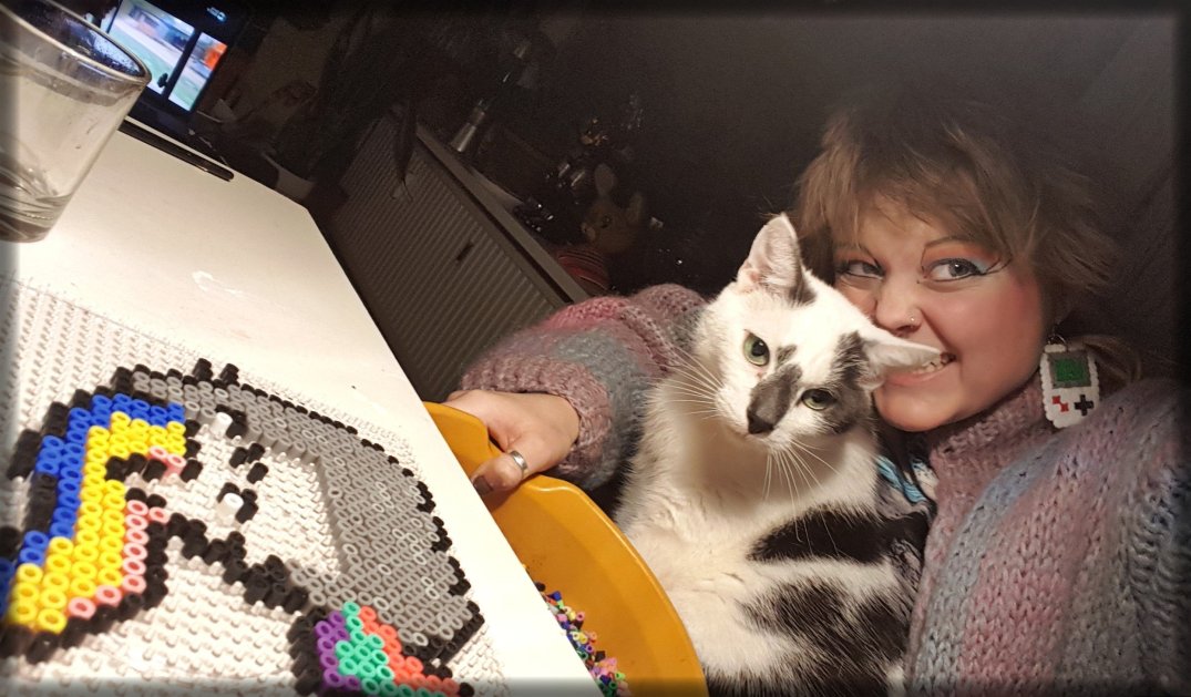 Pusheen kraaltje strijken