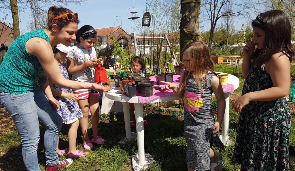 Leonies paradijstuin Frambozen